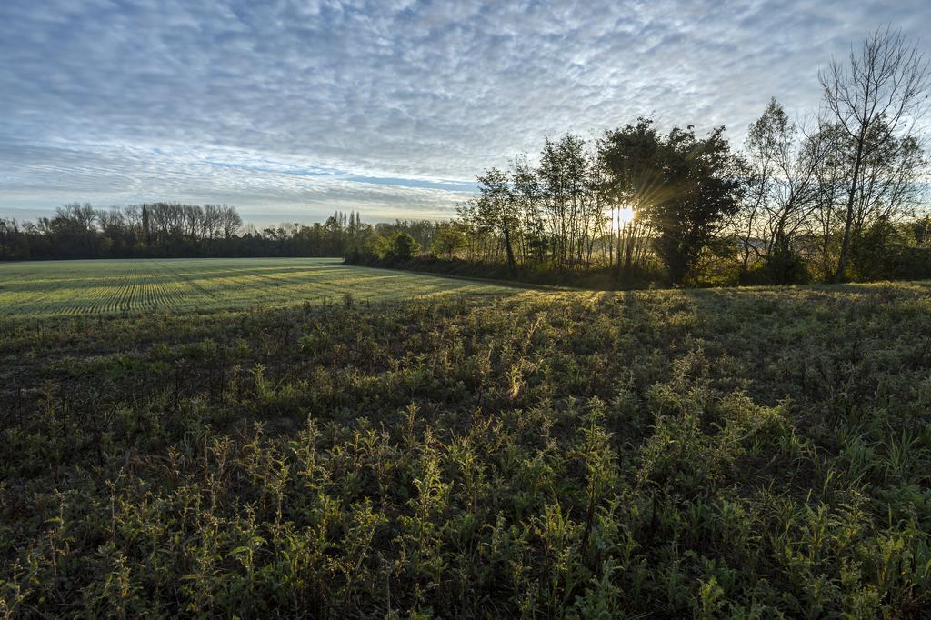 Bed And Breakfast Sile E Natura Sant'Elena di Silea Luaran gambar