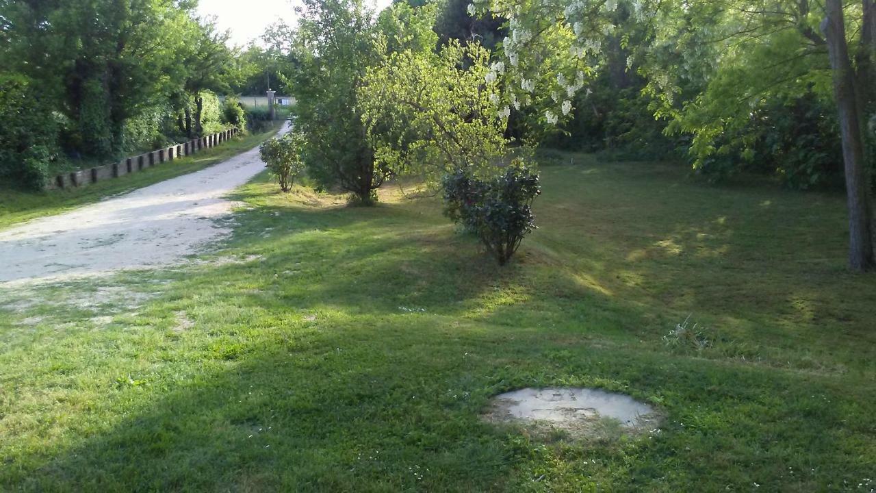 Bed And Breakfast Sile E Natura Sant'Elena di Silea Luaran gambar